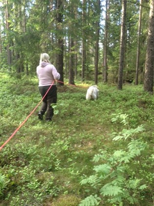 Jeanie går spor