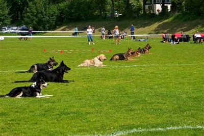 Fellesdekk i 3 minutter