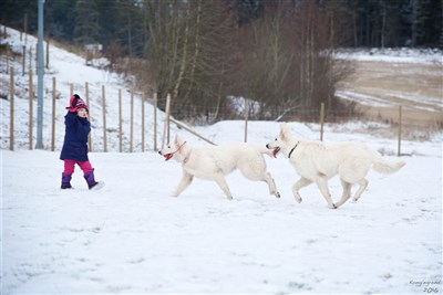 Her er sjefen også på banen :)