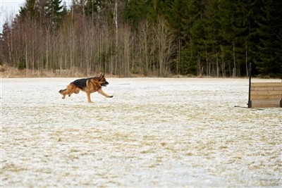 Tåmmer!!!!! ;)