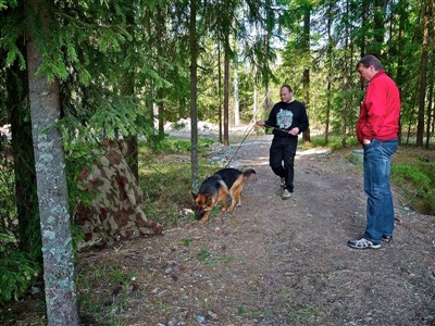 Oopsi stillesittende figurant