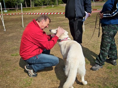 Jeanie og dommer