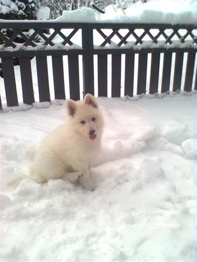Glad i snø han også ;)