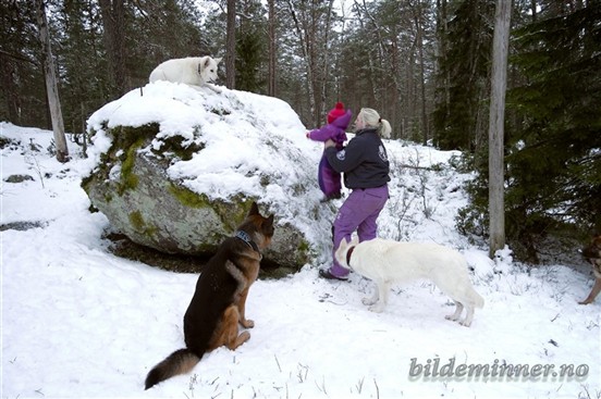 Milla på toppen og Julianne på vei opp :D