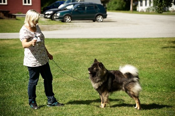 Varmer opp