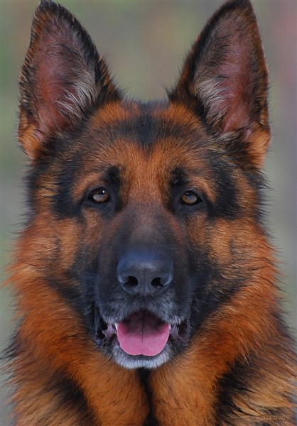 DSC_4557-named.JPG