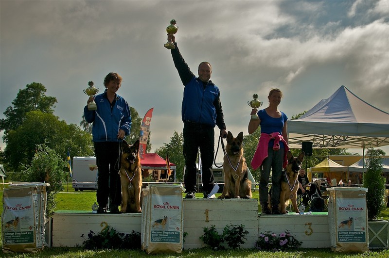 NORSK VINNER 2011