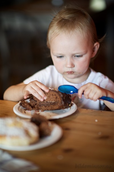 Sjokoladekake og skolebrød i kafeen, før dyra fikk mer besøk. :)